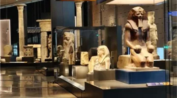 3 أماكن.. مغامرة فريدة تضاف إلى زيارتك للمتحف المصري الكبير وتجعلك تعيش تجربة لا تُنسى في دقائق فقط.